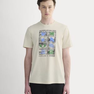 The Everlane x Parks Project Essential Organic Crew | Forged Iron / Birch / Granada Sky Blue / Green